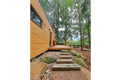 Hütte mit Kamin und Aussenkamin mit Grill