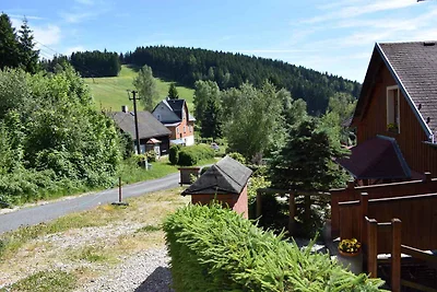 Appartamento Vacanza con famiglia Klingenthal