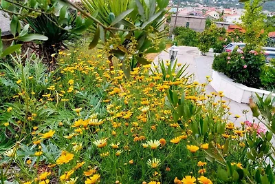 Komfortables Ferienhaus Nar mit Meerblick in 