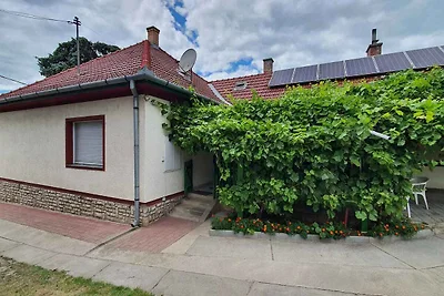 Vakantiehuis Ontspannende vakantie Siofok