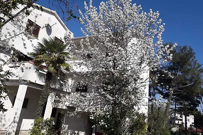 Appartamento Vacanza con famiglia Krk