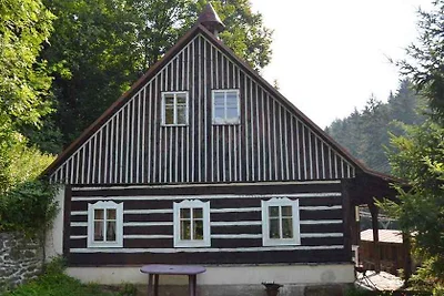 Ferienhaus mit Waschmaschine und überdachter
