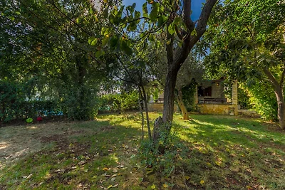 Ferienwohnung mit Swimmingpool und Balkon