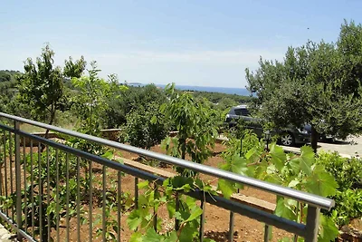 Ferienwohnung im Herzen von Dolac