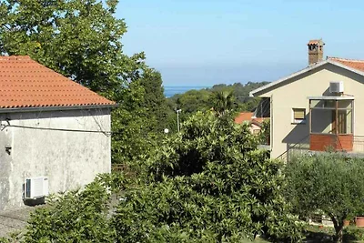 Ferienwohnung mit Klimaanlage und Balkon