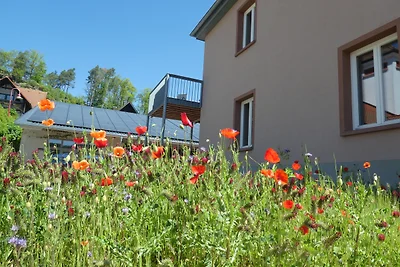 Appartamento Vacanza con famiglia Fischbach Dahn