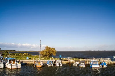 Ferienwohnung unter Schilfdach, nur 100 m vom