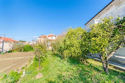 Appartamento Vacanza con famiglia Palit
