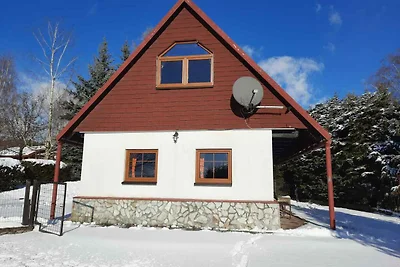 Ferienhaus mit Aussenpool