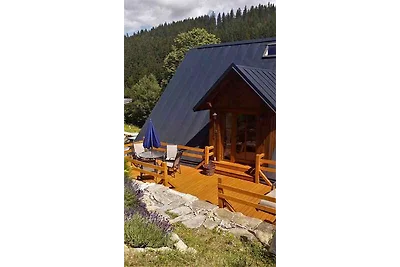 Ferienwohnung 300 m vom Skilift