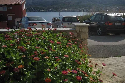 Appartamento Vacanza con famiglia Pag