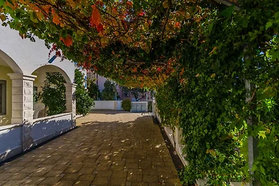 Gemütliche Unterkunft Palm Tree in Okrug