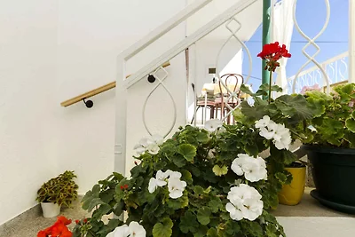 Vakantieappartement Gezinsvakantie Vodice