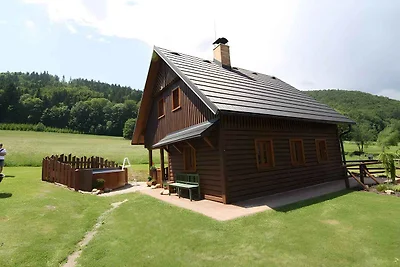 Ferienhaus mit Aussenpool und Internet