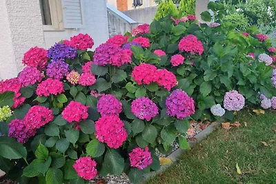 Ferienwohnung mit Klimaanlage