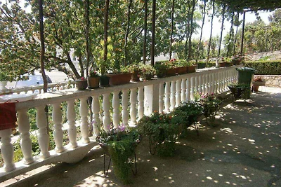 Appartamento Vacanza con famiglia Novi Vinodolski