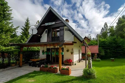 Ferienhaus mit Internetanschluss