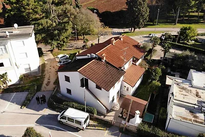 Ferienwohnung mit Klimananlage und Terrasse