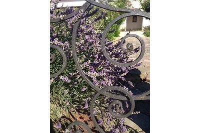 Appartamento Vacanza con famiglia Klimno