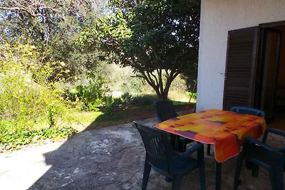 Ferienwohnung mit 20 qm grosser Terrasse