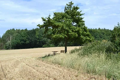 Ferienwohnung in der Natur mit Terrasse