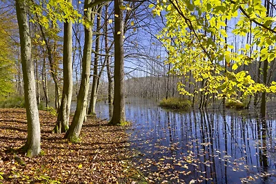 Ferienwohnung am Blankensee