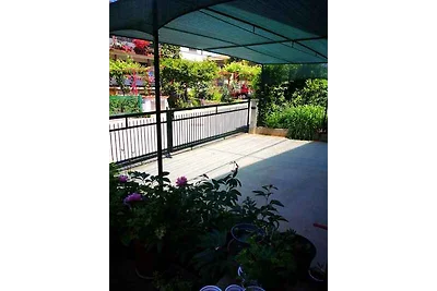 Ferienwohnung mit Terrasse