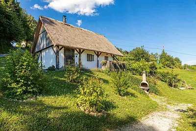 Ferienhaus mit Internetzugang und