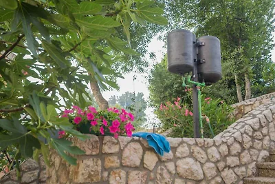 Appartamento Vacanza con famiglia Njivice