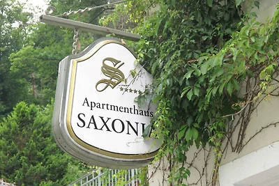 Vakantieappartement Gezinsvakantie Bad Schandau