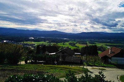 Ferienhaus mit Internet und Terrasse