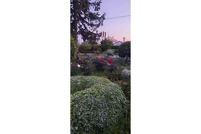 Vakantieappartement Gezinsvakantie Zadar