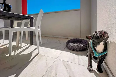 Studio mit Klimaanlage und Balkon