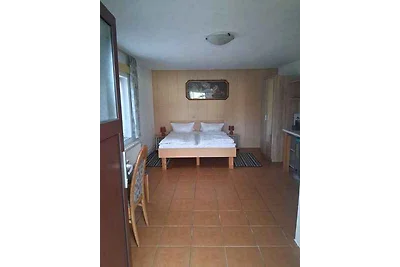 Studio mit Grillmöglichkeit im Garten