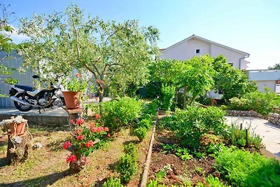 Ferienwohnung mit Klimaanlage