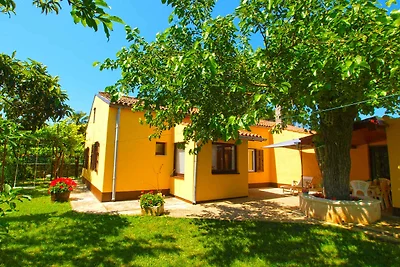 Ferienwohnung mit Garten und Grill