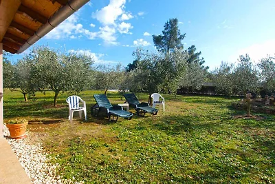 Ferienhaus mit Terrasse