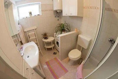 Gemütliche Ferienwohnung TEHA in Mali Lošinj 