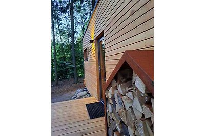 Hütte mit Kamin und Aussenkamin mit Grill