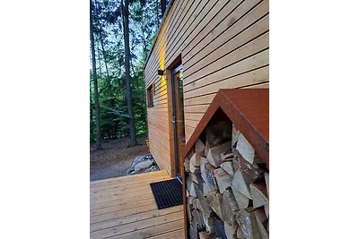 Hütte mit Kamin und Aussenkamin mit Grill