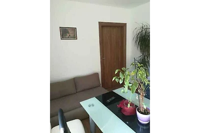 Ferienwohnung mit Klimaanlage und Grill