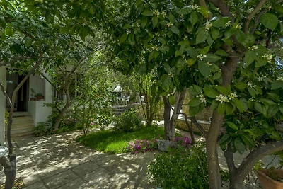Holiday flat family holiday Okrug Gornji