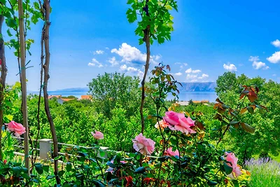 Ferienwohnung mit Klimaanlage und Terrasse