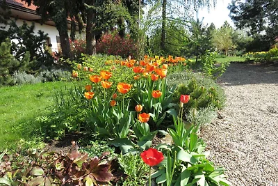 Studio auf dem Bauernhof