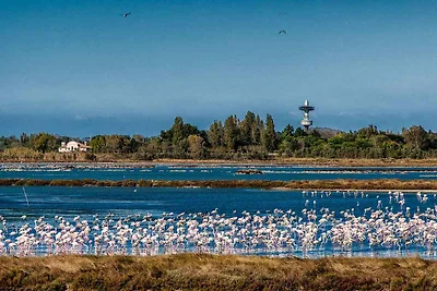 Appartamento Vacanza con famiglia Rosolina