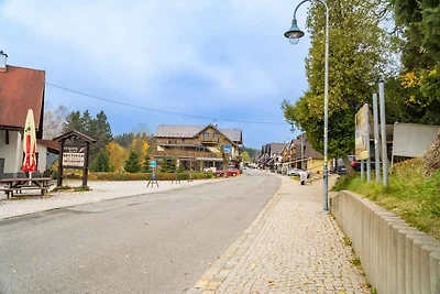 Vakantieappartement Gezinsvakantie Harrachov