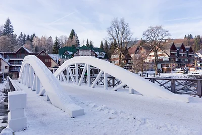 Ferienwohnung in guter Skilage