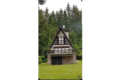 Casa vacanze Vacanza di relax Frymburk