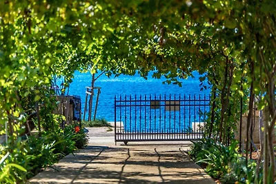 Appartement Vacances avec la famille Molunat