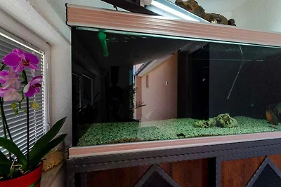 Ferienwohnung mit Klimaanlage und Balkon